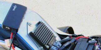 Tech Tips November 2024 Pigtails on Hogs