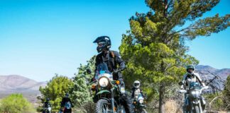 SheADV Annual Supporter Program