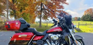 The Long Road to Harley-Davidson Ownership Ruby My First Harley-Davidson