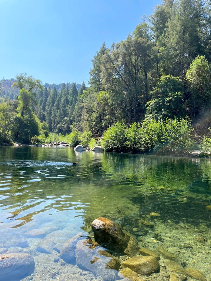Postcards from the Road 12 C. Jane Taylor Yuba River