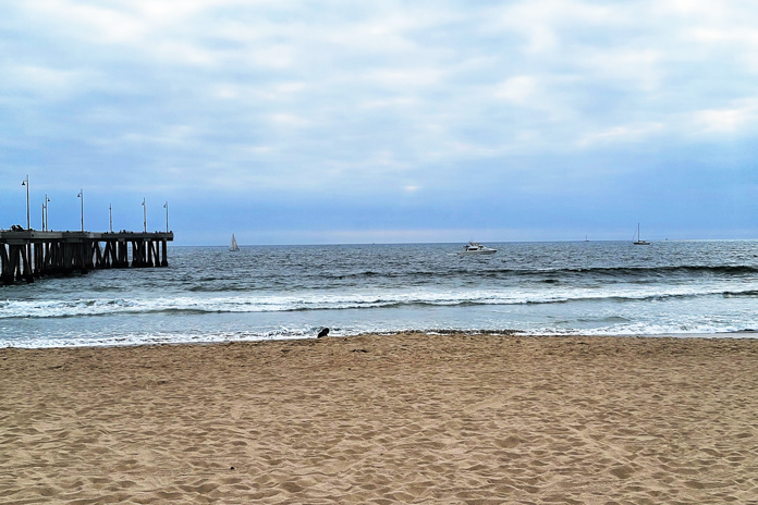 They Lost My Leathers Carly Becker Venice Beach HER Track Days