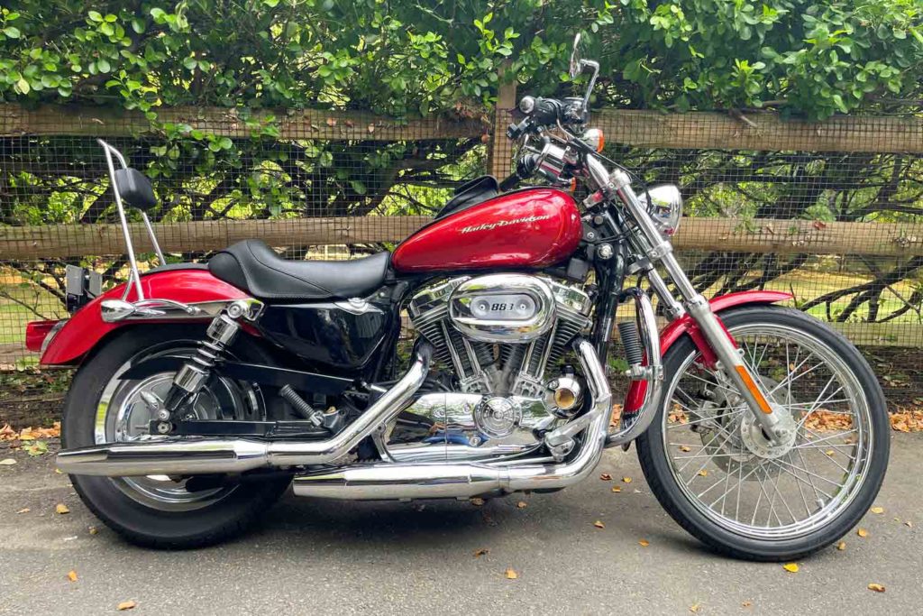 Mustang Standard Touring Solo Saddle on 2004 883 Custom