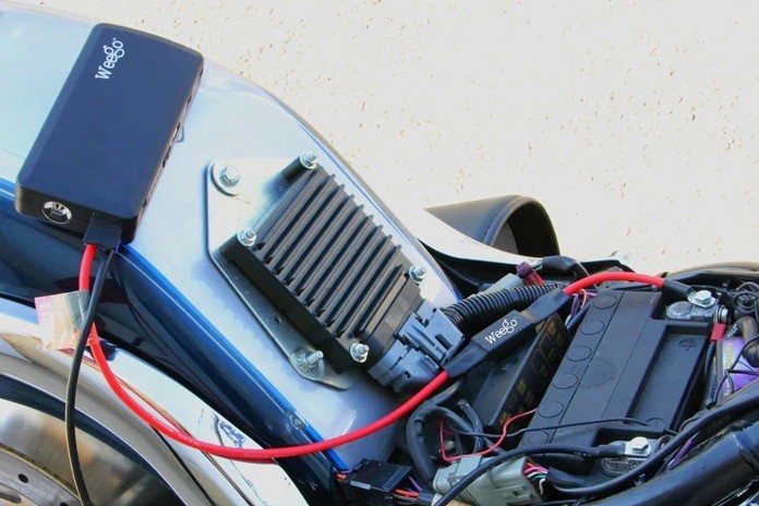 Tech Tips November 2024 Pigtails on Hogs