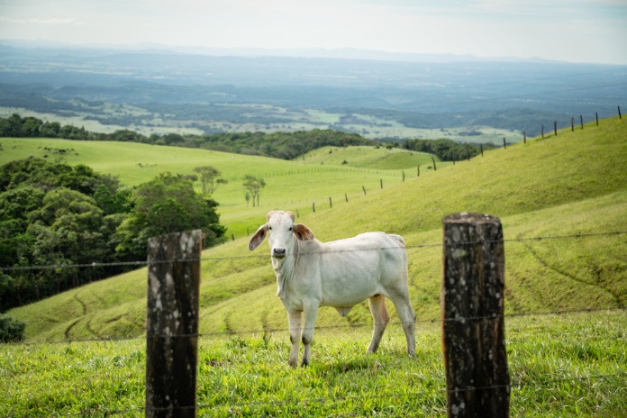 Costa Rica Motorcycle Ride