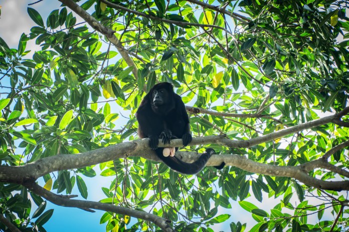 Costa Rica Motorcycle Ride