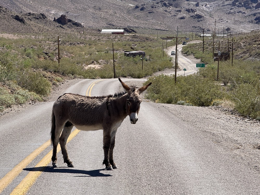 Arizona Route 66—The Mother Road's Greatest Treasure | Rider Magazine