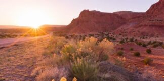New Mexico Route 66 Motorcycle Ride Rider Magazine