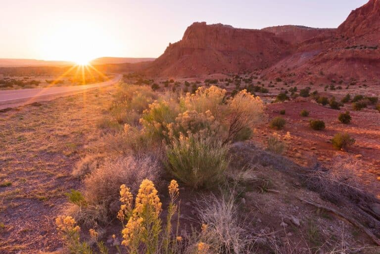 New Mexico Route 66 Motorcycle Ride Rider Magazine