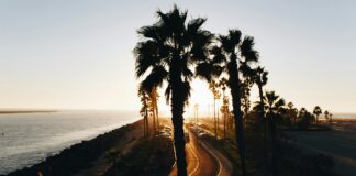 California Motorcycle Guide