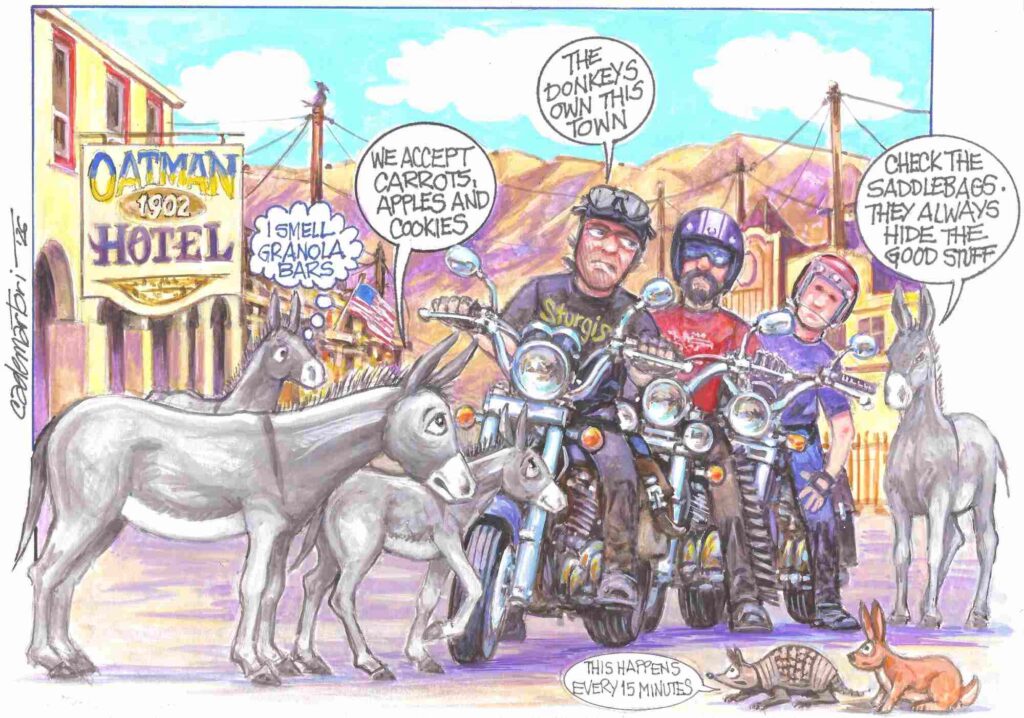 Oatman Burros