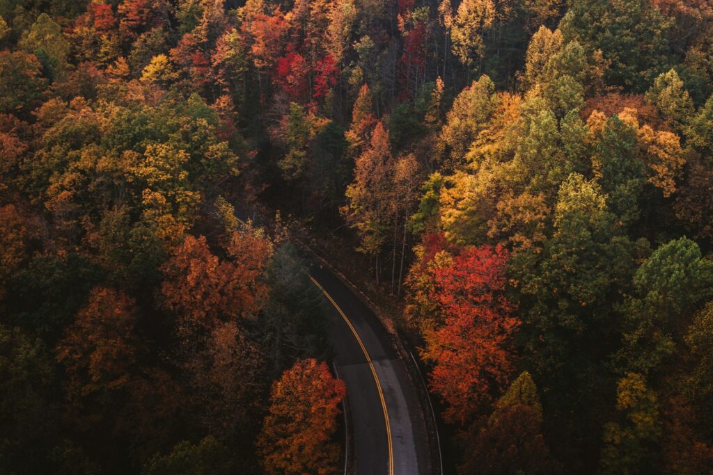 10 Things We Always Pack for a Fall Motorcycle Ride